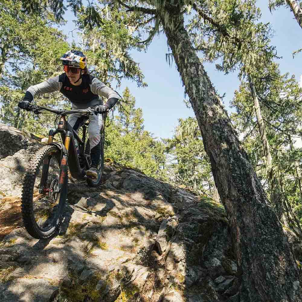 Shimano Motor and Battery