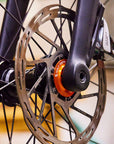 Wolf Tooth Centerlock Rotor Lockring - Internal Splined Black