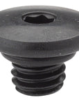 Shimano XT BL-M785 Hydraulic Brake Lever Bleed Screw & O-Ring