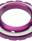 Wolf Tooth CenterLock Rotor Lockring - External Splined Purple