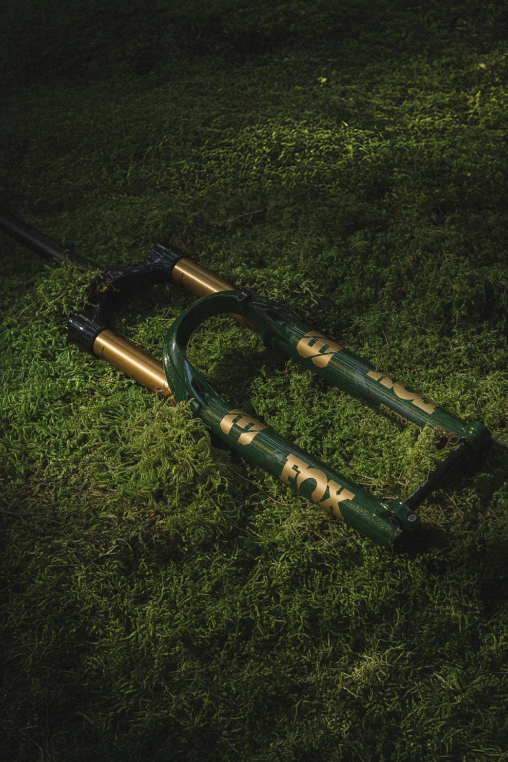 tdfオリーブ38 Fox 38 Limited Edition Racing Green