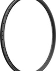 DT Swiss FR 571 Rim - 29" Disc Black 32H