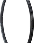 RaceFace ARC 30 Rim - 29" Disc Black 28H Offset