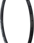 RaceFace ARC 30 Rim - 29" Disc Black 32H Offset
