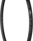 WHISKY No.9 30w Rim - 29" Disc Matte Carbon 28H