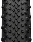 Continental Terra Speed Tire - 700 x 45 Tubeless Folding BLK/Transparent BLKChili ProTection E25