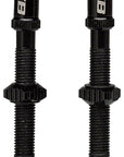 Válvulas Tubeless WTB TCS Max-Flow - Par de 44 mm, color negro