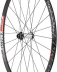 Rueda delantera DT Swiss 350/XM421 de 29", 15 x 110 mm, con bloqueo central, color negro