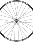Quality Wheels Shimano Tiagra/Weinmann U28 Front Wheel - 700c 12 x 100mm Center-Lock BLK