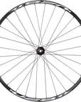 Quality Wheels Shimano Tiagra/Weinmann U28 Front Wheel - 700c 12 x 100mm Center-Lock BLK