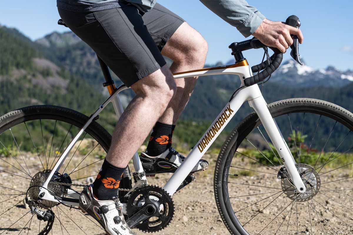 2022 Diamondback Haanjo 8C