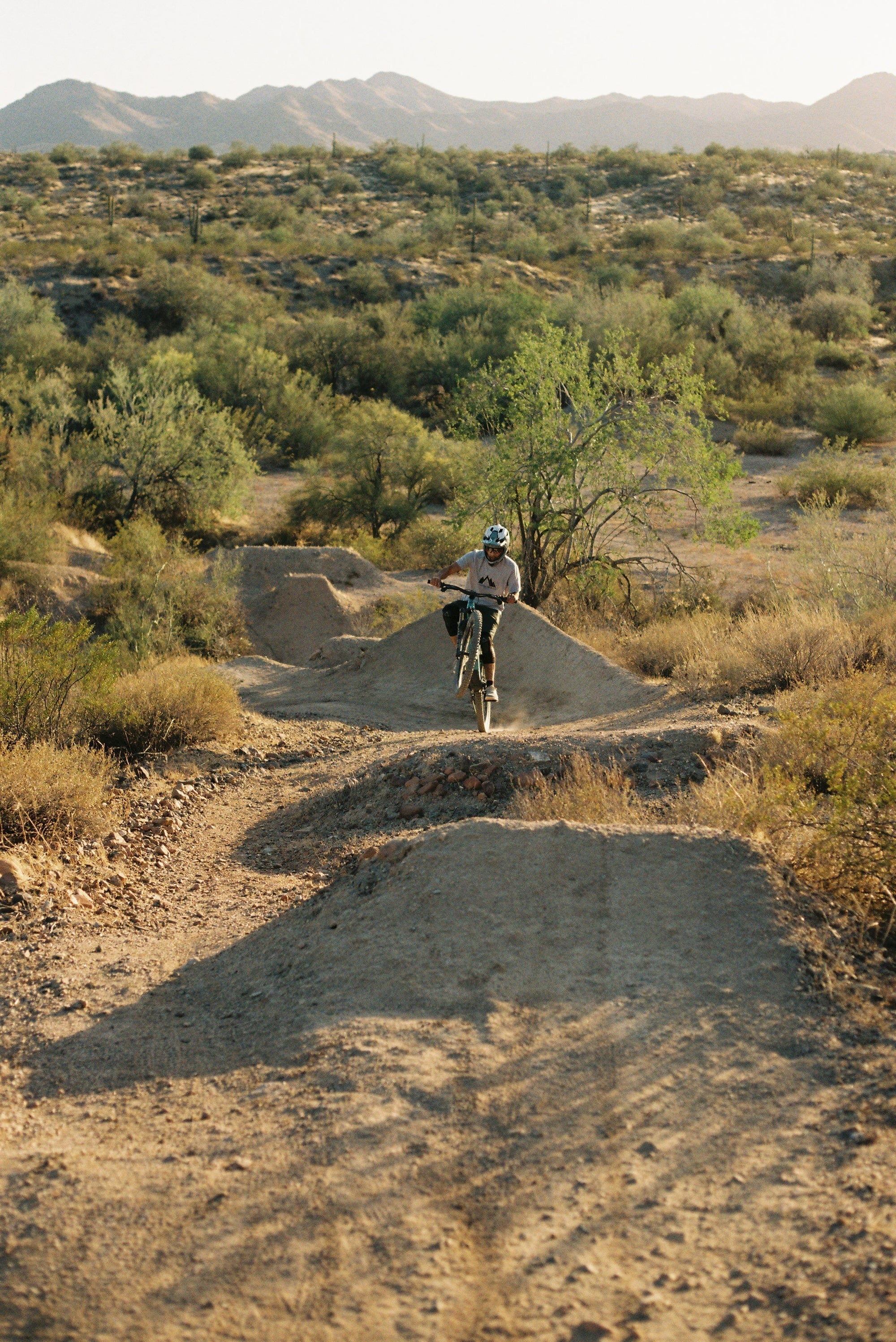 How to Choose the Right Size Mountain Bike
