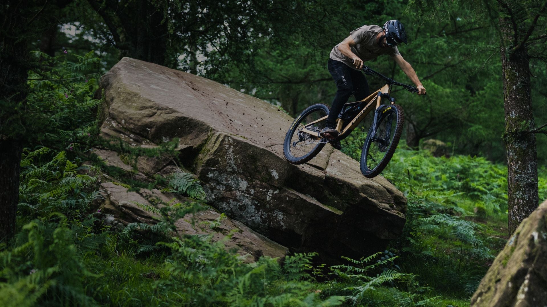 Orbea Rallon