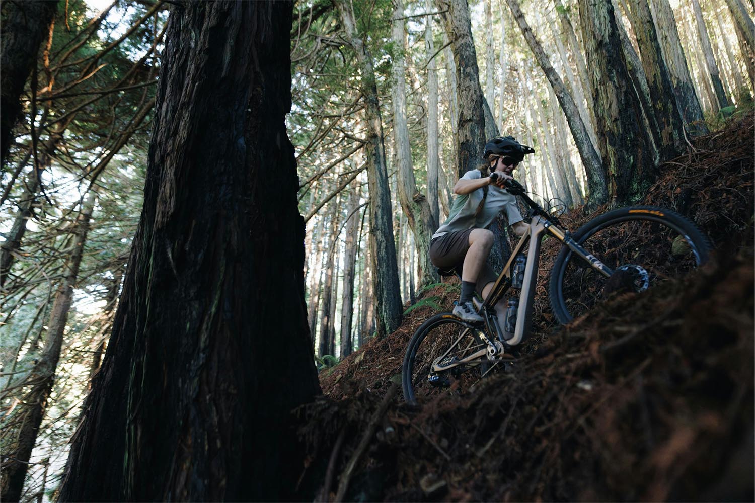2026 Ibis Ripley SL Frame
