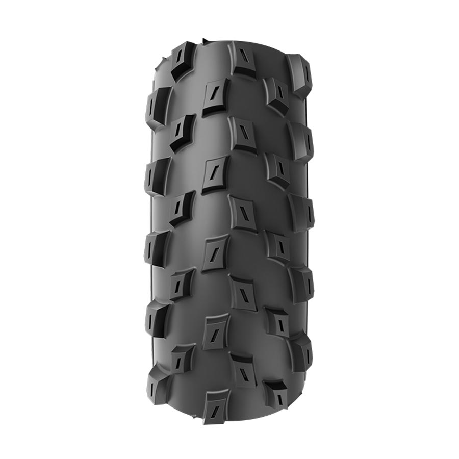 Vittoria Barzo G2.0