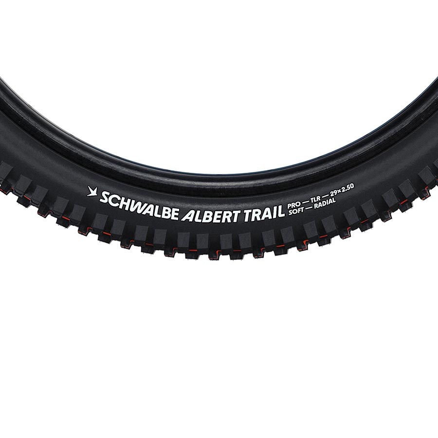 Schwalbe Albert Trail Pro - Thumbnail 2