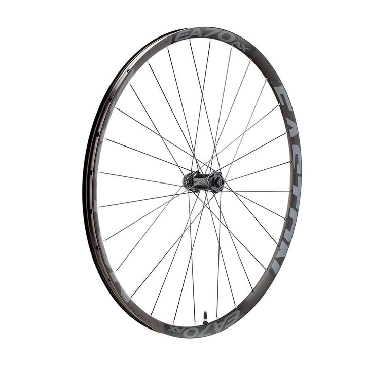 Rueda delantera Easton EA70 AX - 700 12 x 100 mm, bloqueo central, negra
