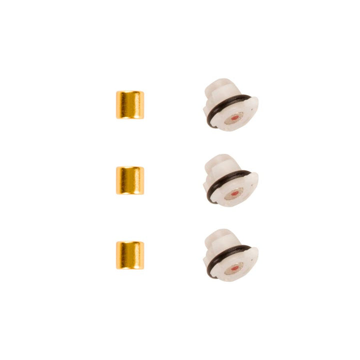 Juego de imanes Zipp para embrague Cognition NSW (rueda trasera interior y exterior)