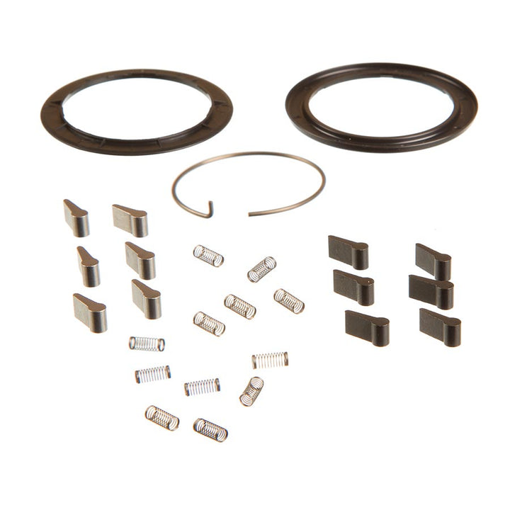 Zipp Spring and Pawl Set - ZM2