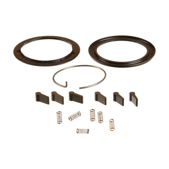 Zipp Spring and Pawl Set - ZR1