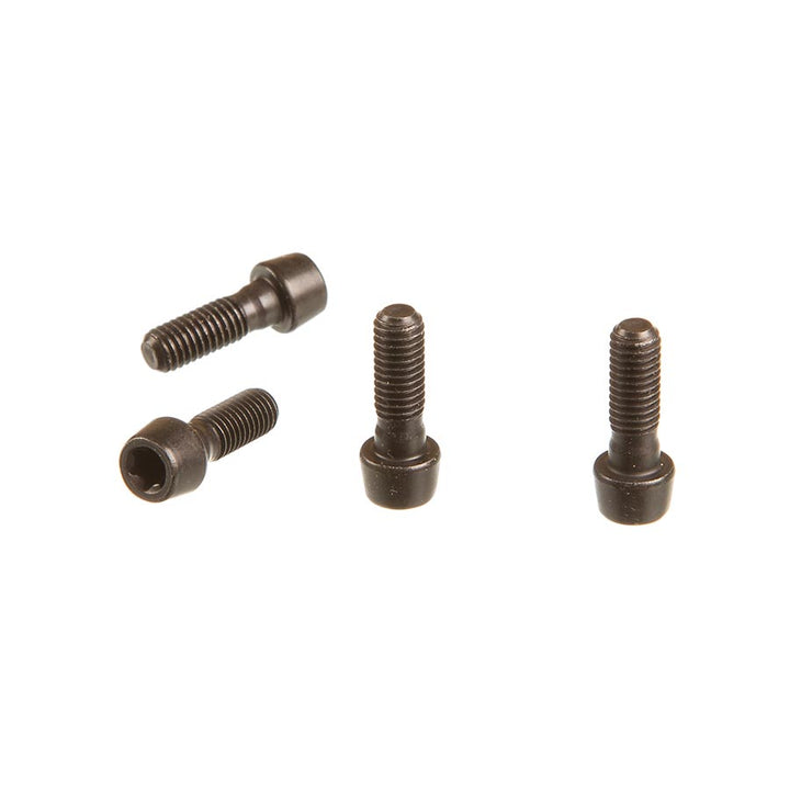 SRAM Faceplate Bolt Kit for SL Sprint
