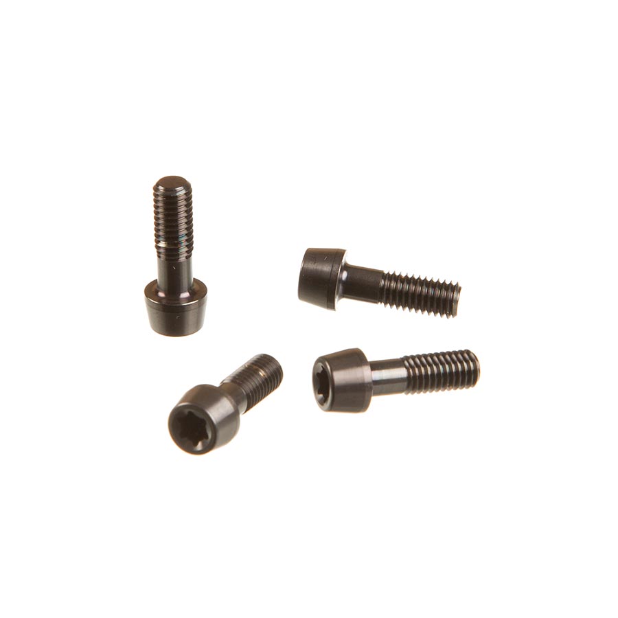 SRAM SL Speed B1 Faceplate/Bolt Kit - Thumbnail 3