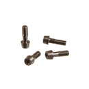 SRAM Faceplate/Bolt Kit for SL Speed B1