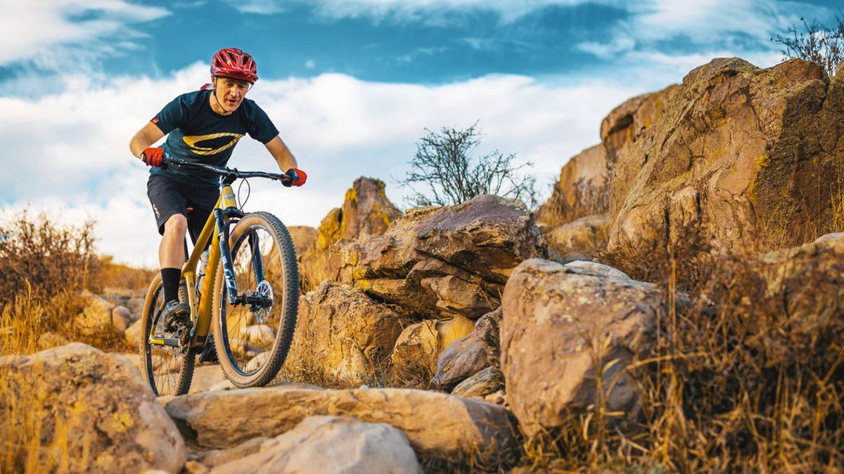Niner Rdo 9 2022 Niner AIR 9 RDO