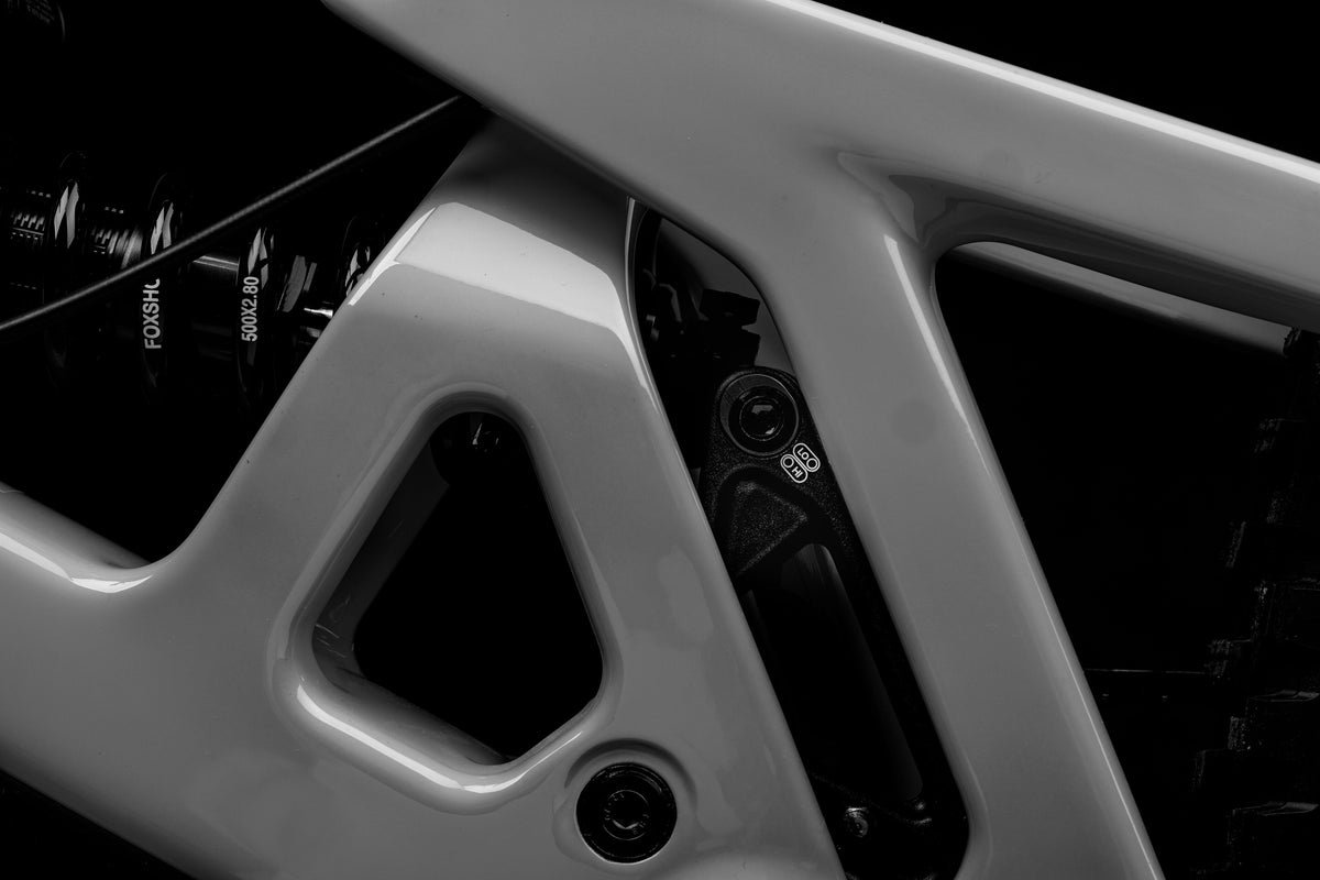 Santa Cruz Nomad Hi/Lo flip chip at the shock mount