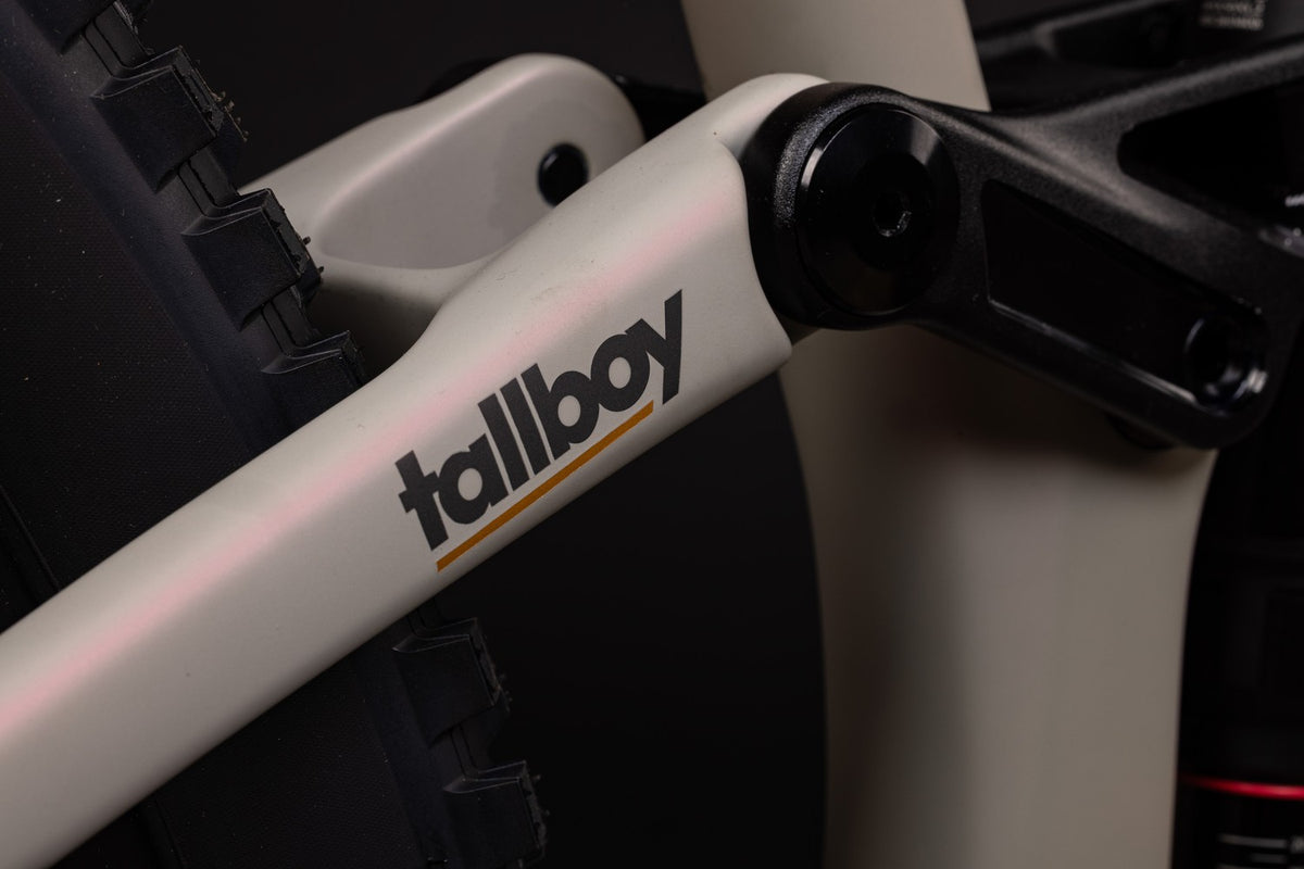 Closeup of Tallboy Limited Edition rear suspension
