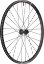 DT Swiss EX 1700 Classic 30 Front Wheel - 29" 15 x 110mm Center-Lock Black