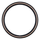 Schwalbe G-One R Tire - 700 x 40 Tubeless Folding BLK/Transparent Evolution Line Pro Addix Race