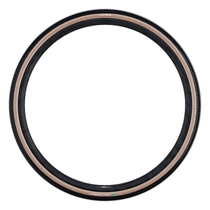 Schwalbe G-One R Tire - 700 x 40 Tubeless Folding BLK/Transparent Evolution Line Pro Addix Race