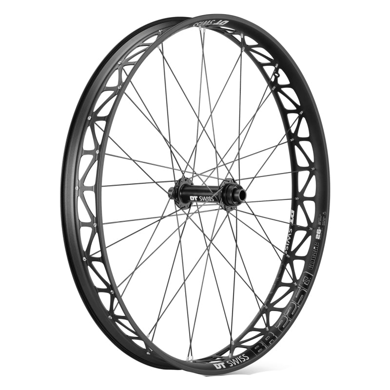 DT Swiss Big Ride