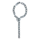 Candado de cadena Abus Kette 9KS + LOOP de 9 mm, color negro, 250 cm