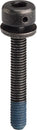 Shimano 31.8mm Disc Brake Caliper Fixing Bolt 74mm Caliper on Flat-Mount Frame Adaptor