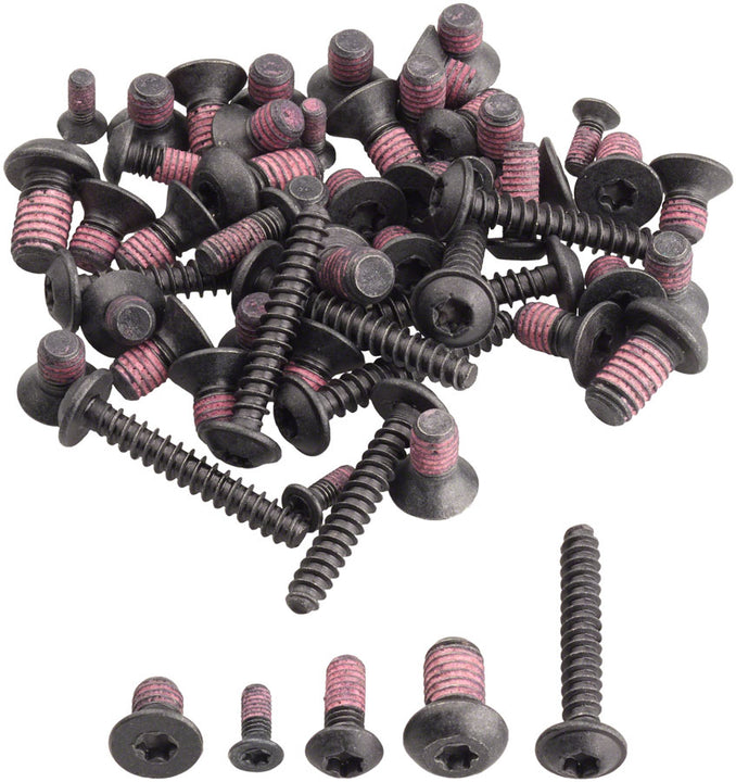 Bosch Screw Kit for ABS (BAS33YY)