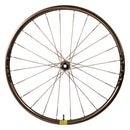 Berd Hawk30 Gold Carbon Wheelset