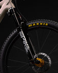 2027 Santa Cruz Tallboy 6 CC XX FA Limited Edition