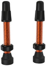 WTB Aluminum TCS Tubeless Valves: 34mm Orange Pair