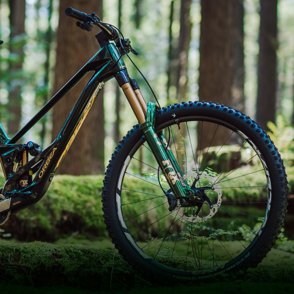Fox 38 Limited Edition Racing Green