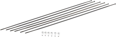Kit de radios DT Swiss PR1400 DiCut Oxic: delanteros y traseros, negros