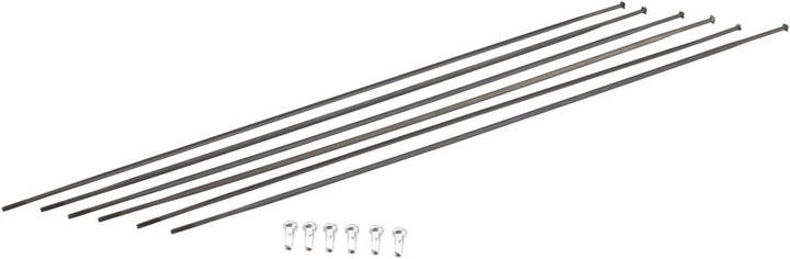 Kit de radios DT Swiss PR1400 DiCut Oxic: delanteros y traseros, negros
