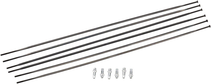 Kit de radios DT Swiss PR1600 DiCut 21 DB: delanteros y traseros, negros