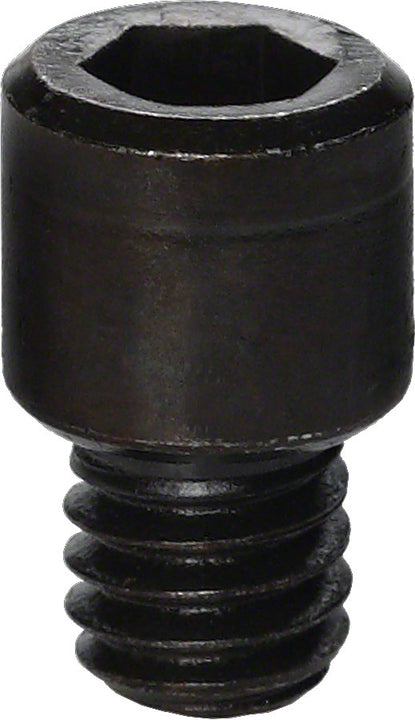 Tornillo de cabeza hueca Park Tool 116S para abrazadera profesional 100-3C
