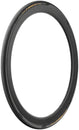 Neumático Pirelli P ZERO Race TLR - 700 x 28 Tubeless Plegable Negro/Dorado SmartEvo SpeedCore