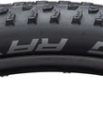 Schwalbe Racing Ray Tire - 27.5 x 2.25 Clincher Folding BLK Performance Addix