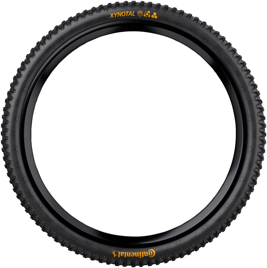 Xynotal Downhill Casing