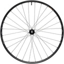 WTB Proterra Light i25 Front Wheel - 700 12 x 100mm Center-Lock Black 28H