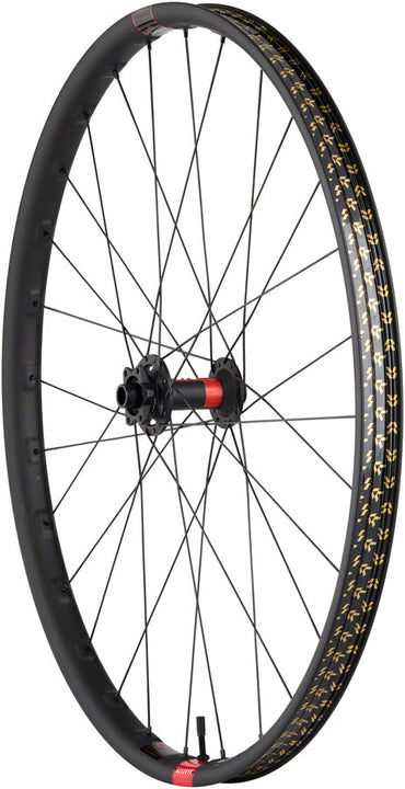 Quality Wheels DT 240 / Reserve 30 SL Carbon Front Wheel - 29" 15 x 110mm 6-Bolt Carbon